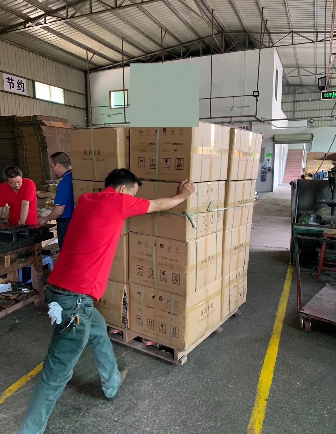Export cartons on pallets — labelled cartons ready for container loading